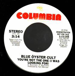 Blue Öyster Cult : You're Not the One (I Was Looking For)